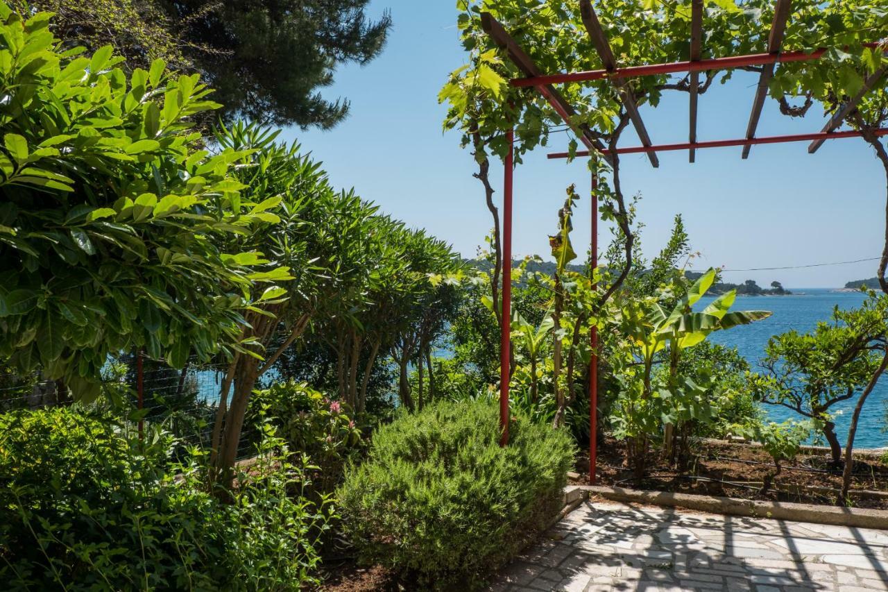 Villa Magnolia Mali Lošinj Dış mekan fotoğraf